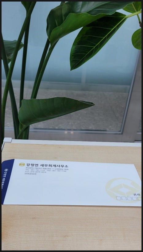 강정연세무회계 이미지