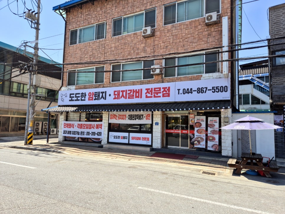 도도한암퇘지 이미지