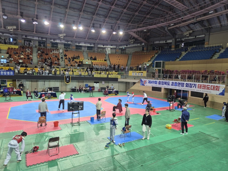 성화초등학교 이미지
