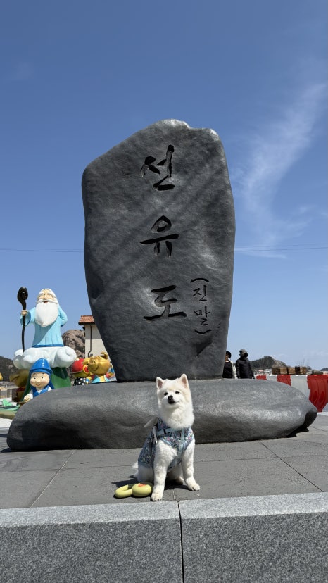 스테이포레스트 이미지