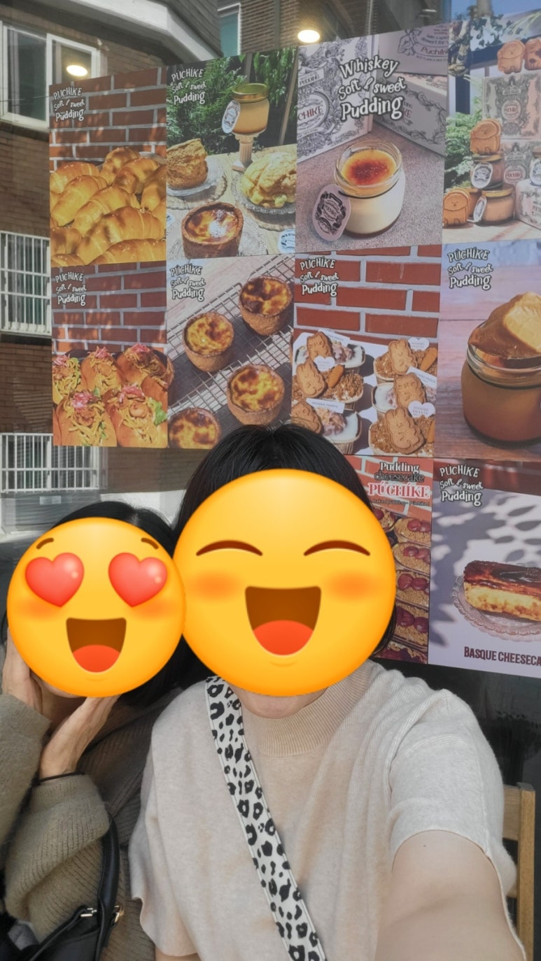푸치케 이미지