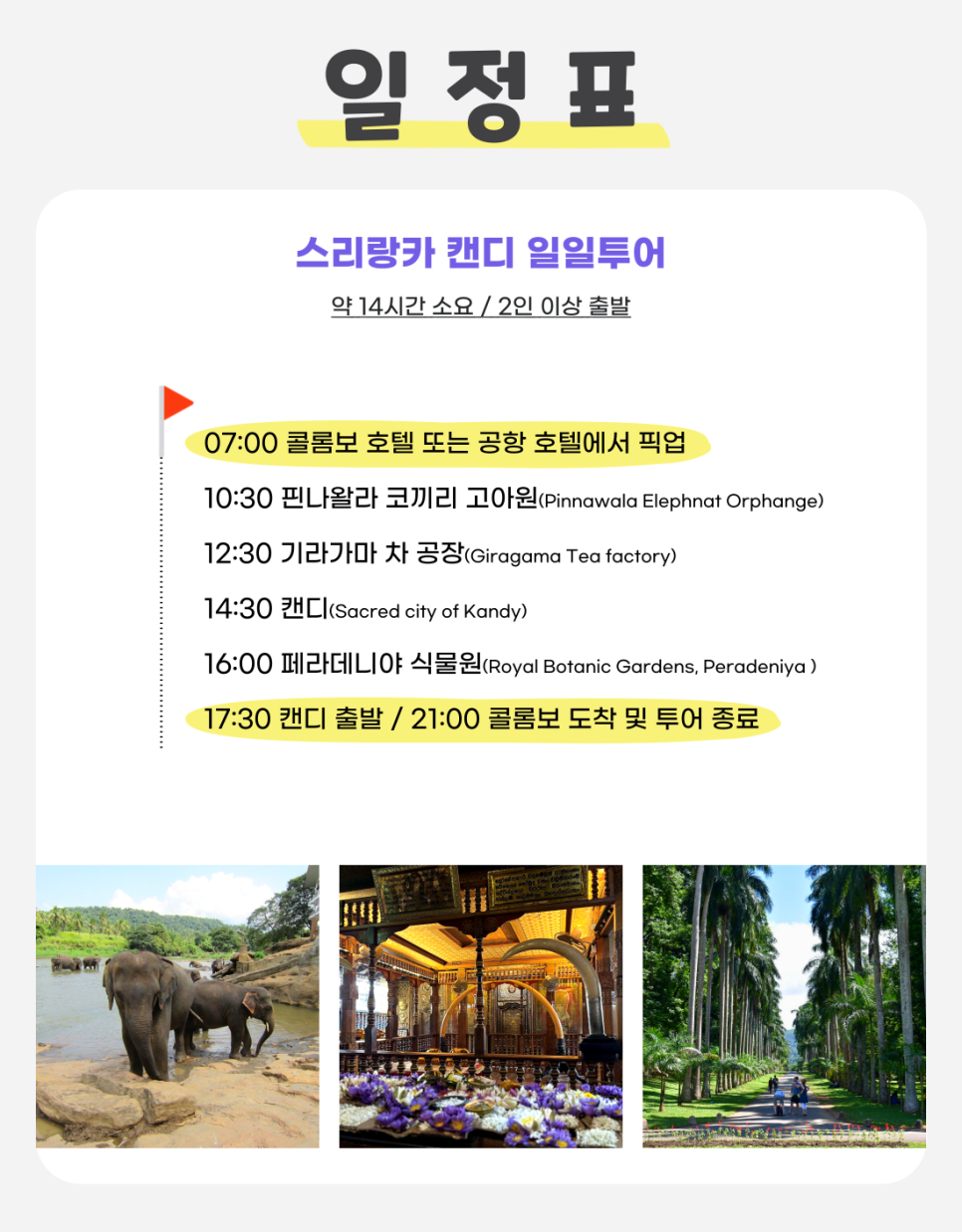 캔디투어 이미지