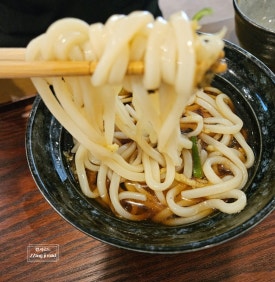 카미나무 이미지