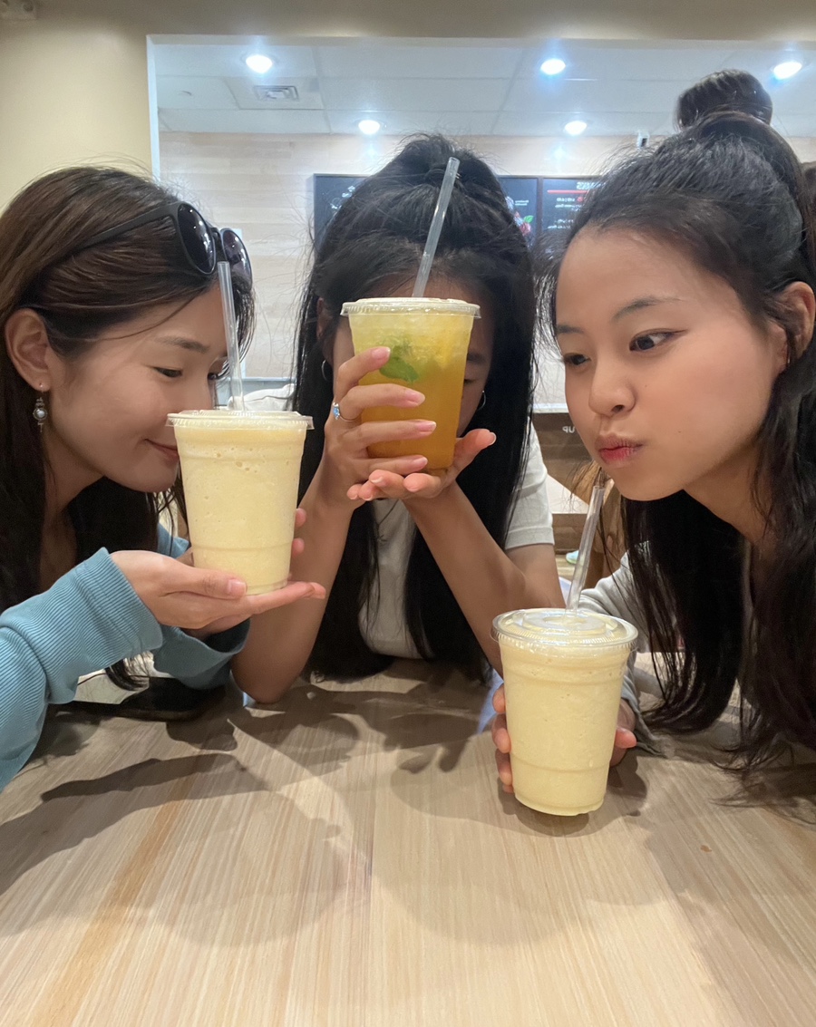홀롤롤로 이미지