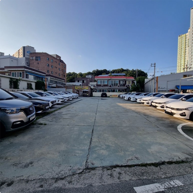 일일사 이미지