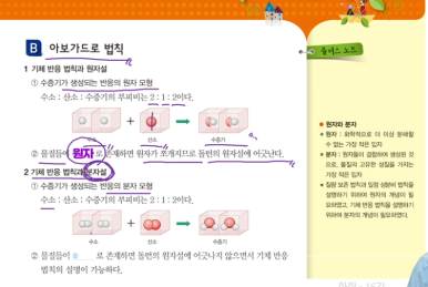 글로에 이미지