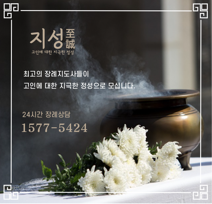 지성인력 이미지
