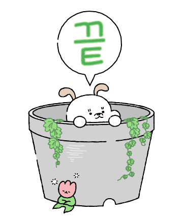 식집사마켓 이미지