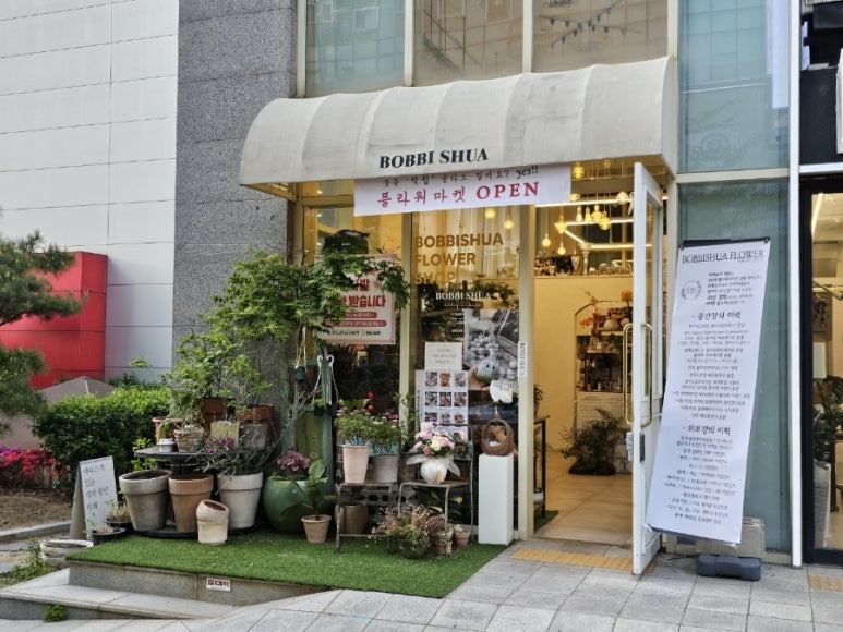바비슈아 이미지