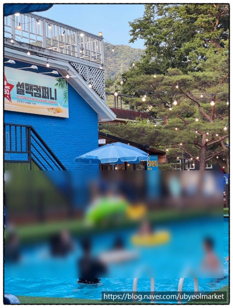 설맥 이미지