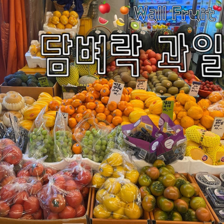 풍암중앙로 이미지