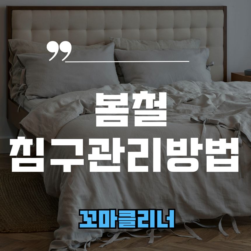 꼬마클리너 이미지