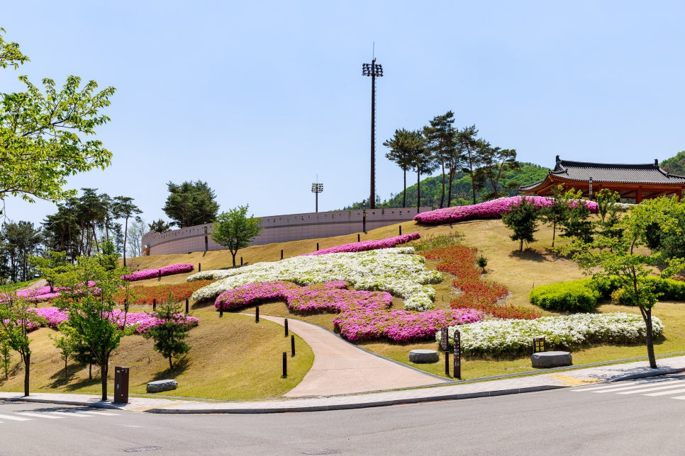 화랑 유아숲체험원 이미지