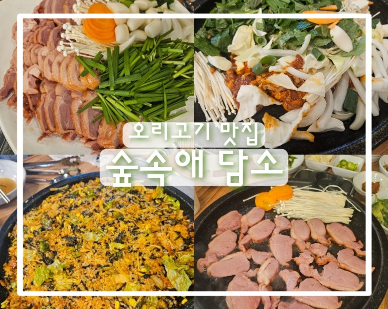 숲속애담소 이미지