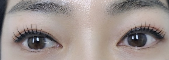 예뿐눈썹 이미지