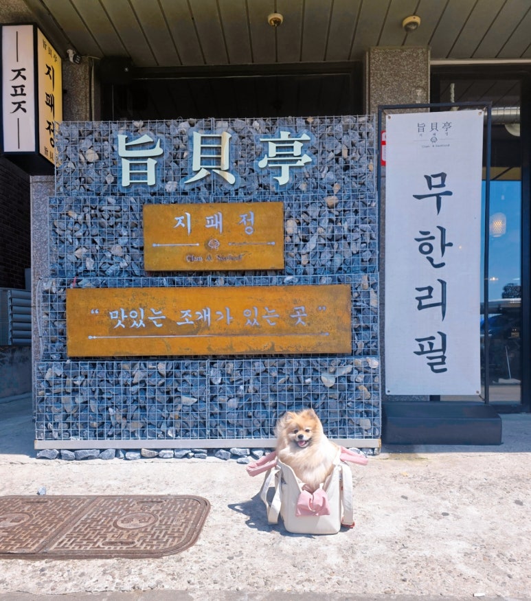 지패정 이미지