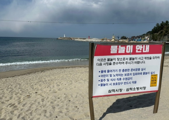 오늘의장호 이미지