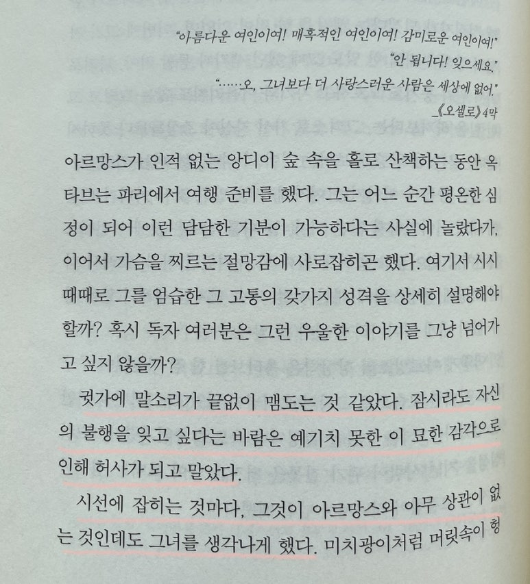 아르망스 이미지