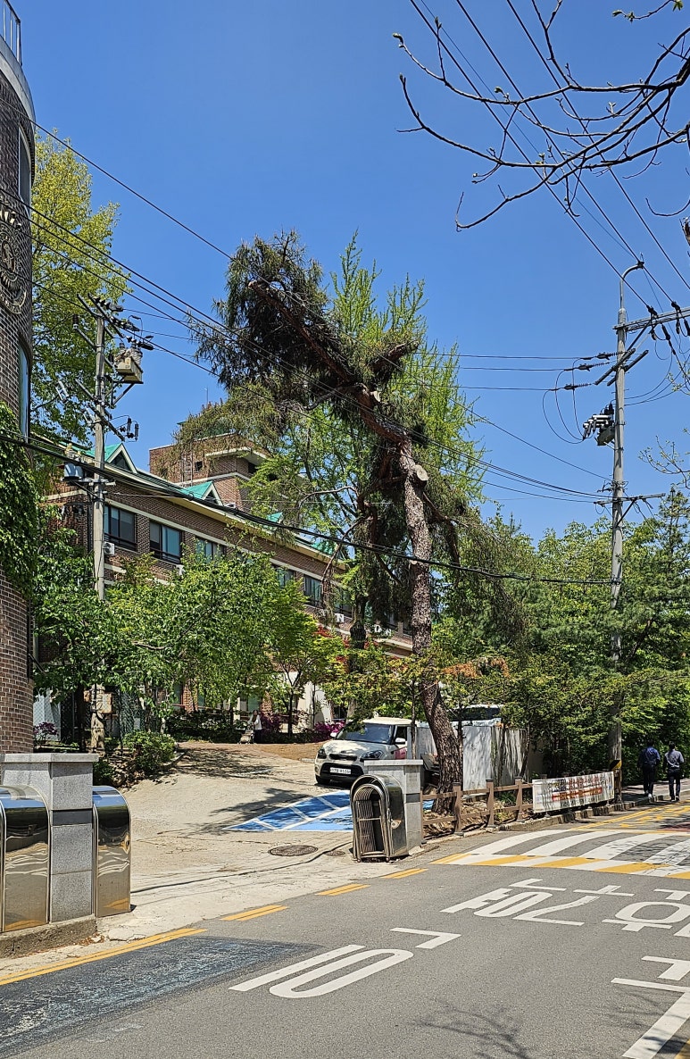 행림원 이미지