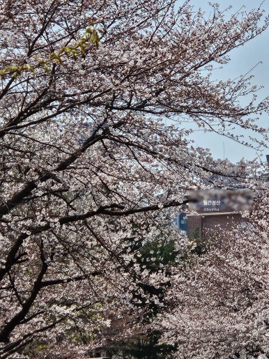 코코넷치킨 이미지