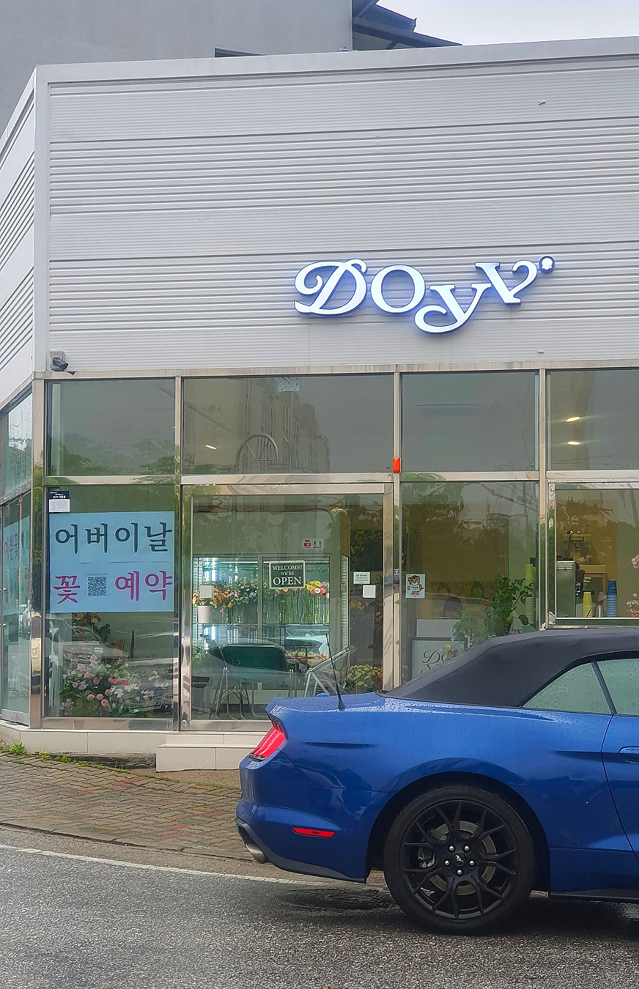 도이브 이미지