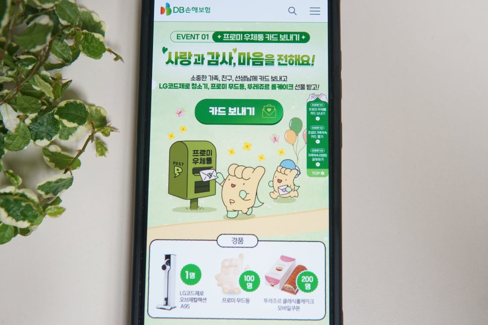 프로미케이크 이미지