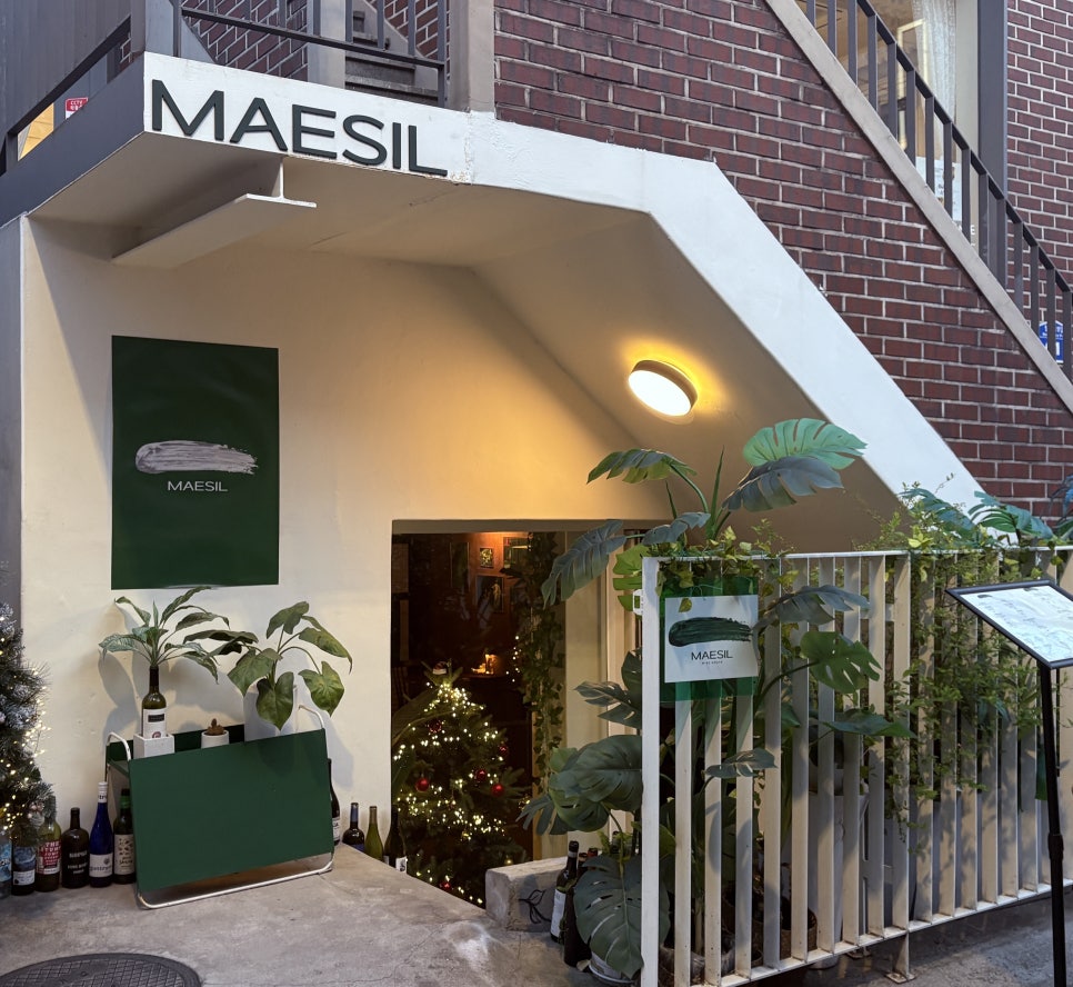 매실(maesil) 이미지