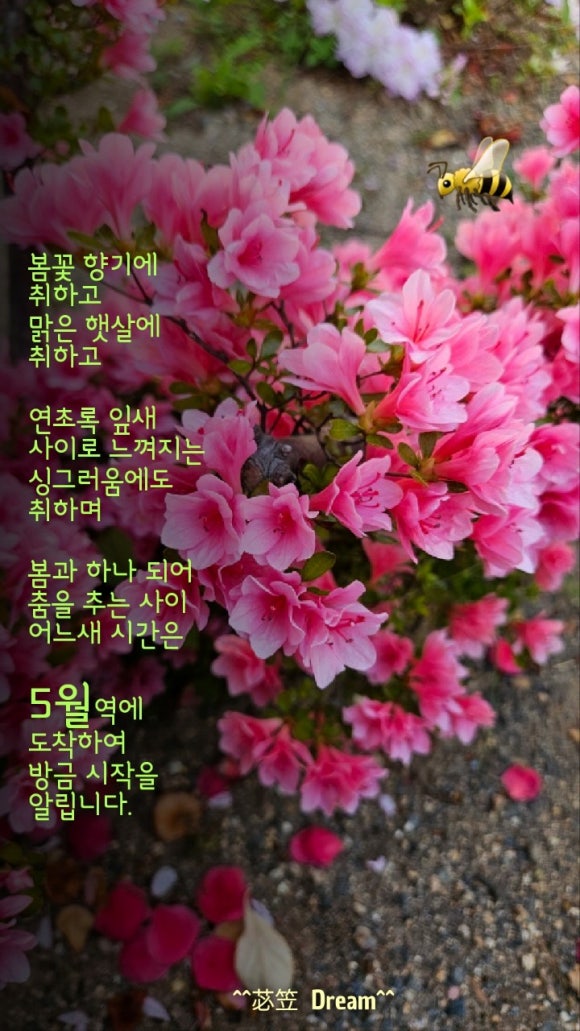 움트 이미지