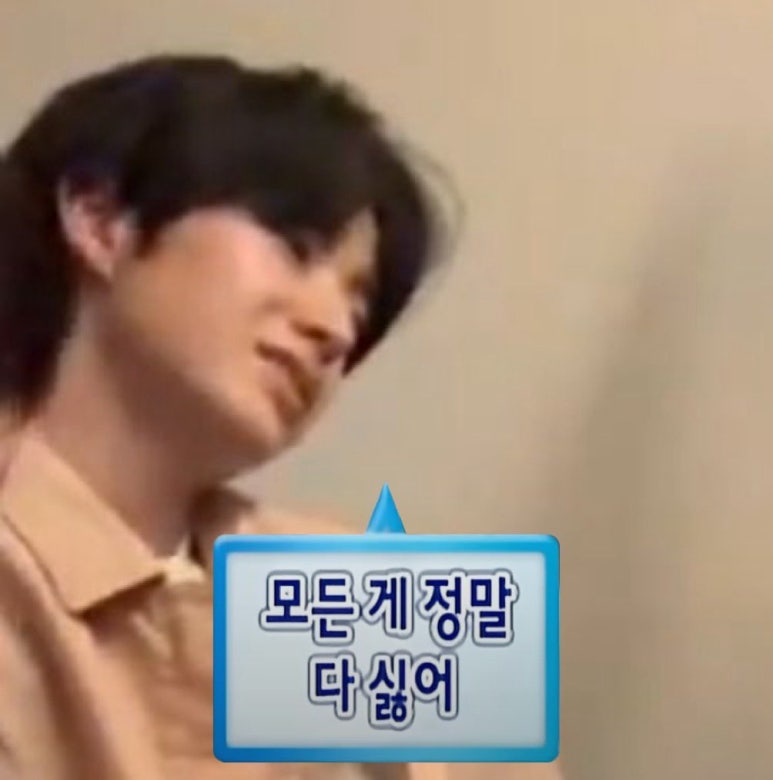 양스 이미지
