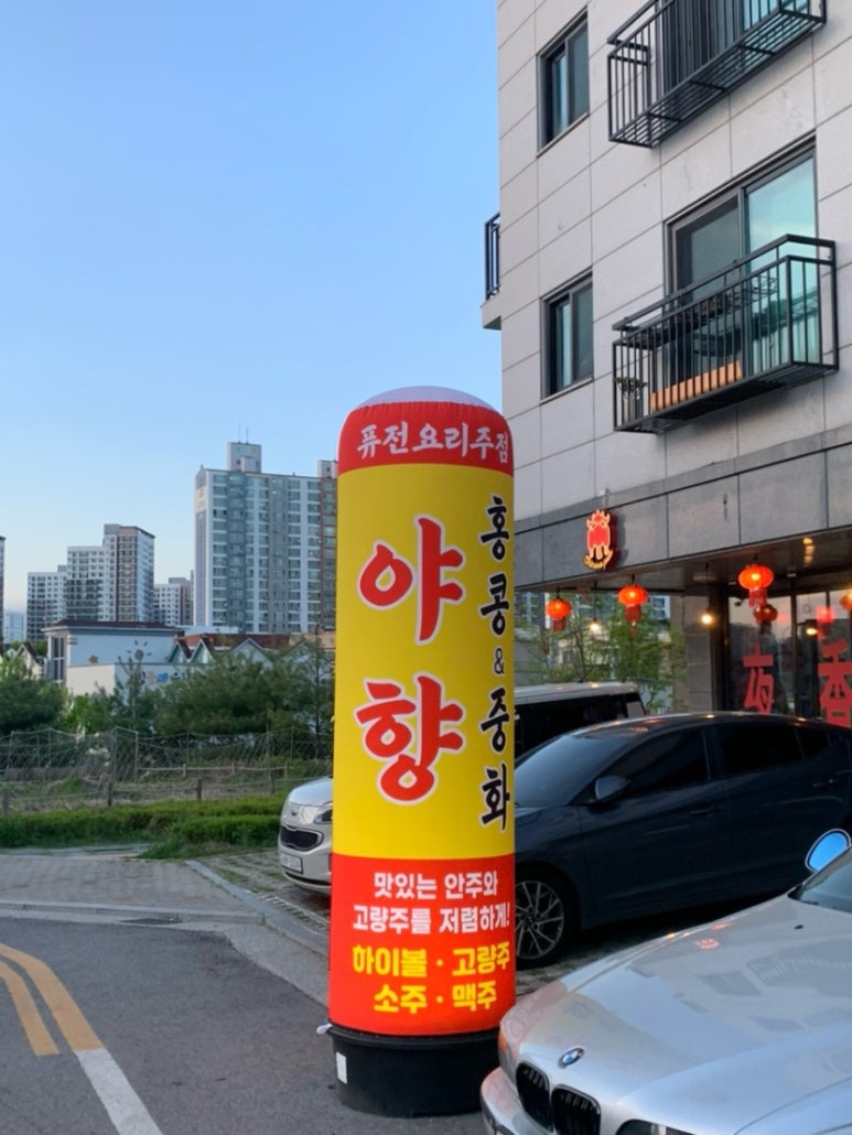 야향 이미지