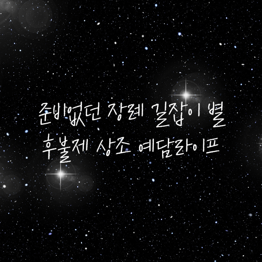 장례다이렉트 이미지