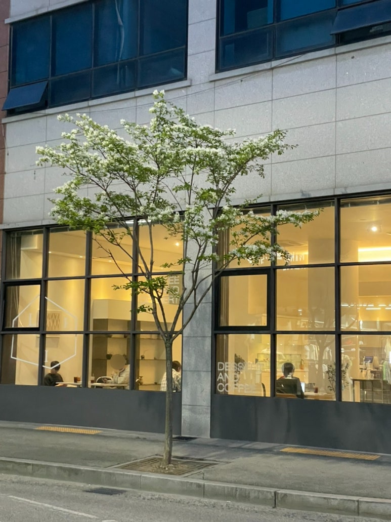 담소커피랩 이미지