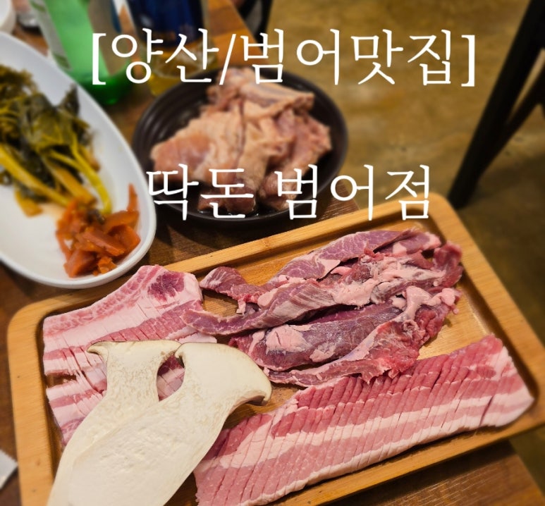 딱돈 이미지