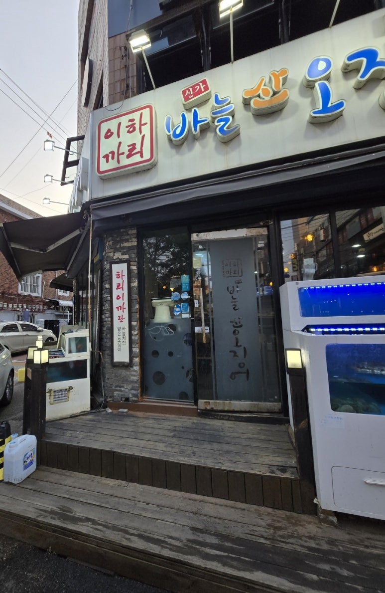 신가바늘산오징어 이미지