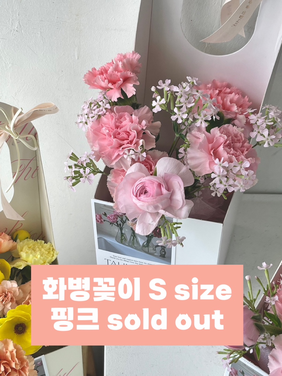 여리들 이미지