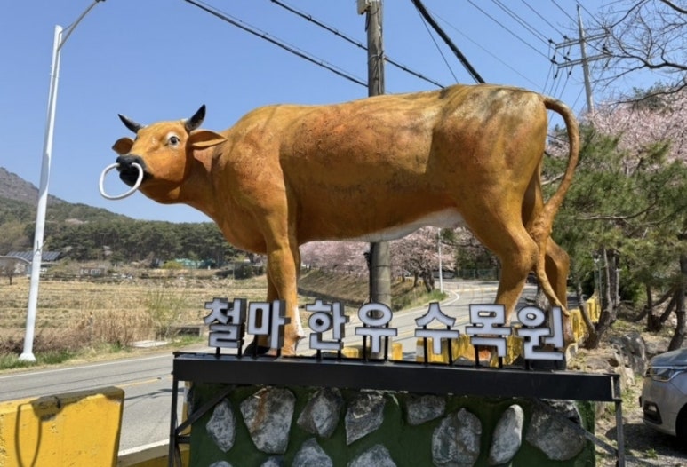 철마한우한판 이미지