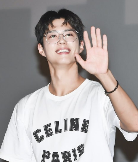 바닐리 이미지