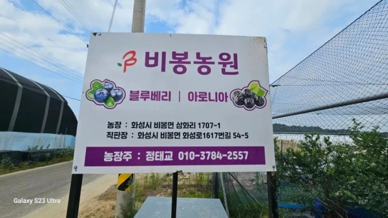 비봉농원 이미지