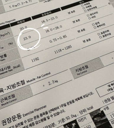 비티엘플러스 이미지