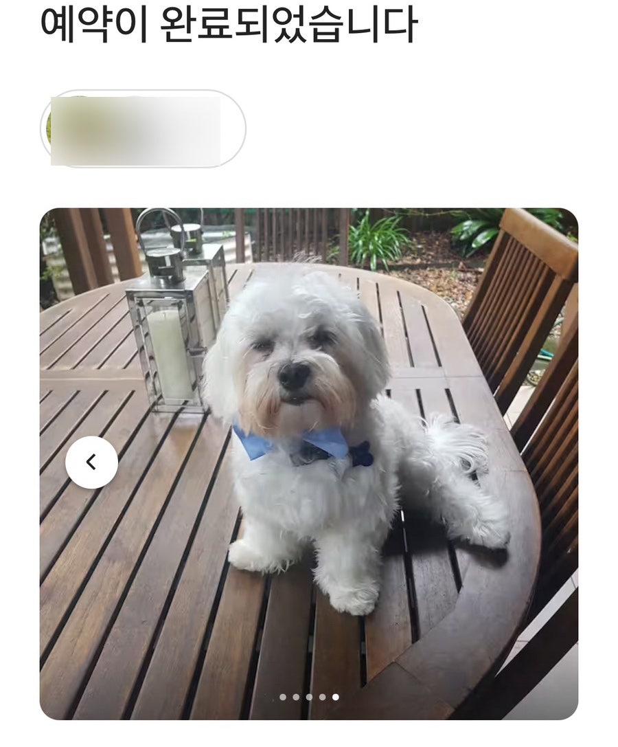 두둥 이미지