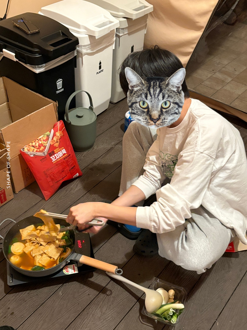 영스케 이미지