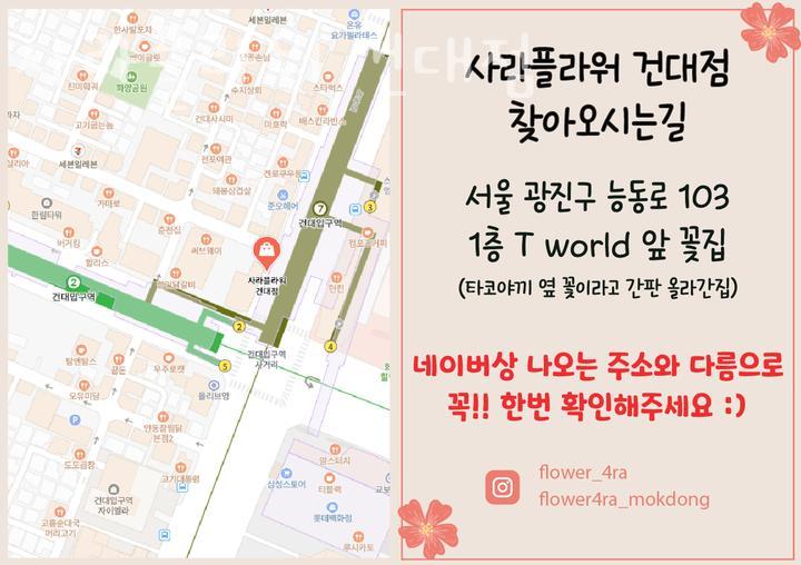 사라플라워 이미지