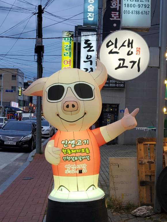 돼풍이 이미지