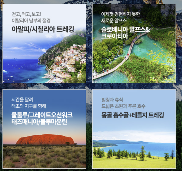미지여행사 이미지