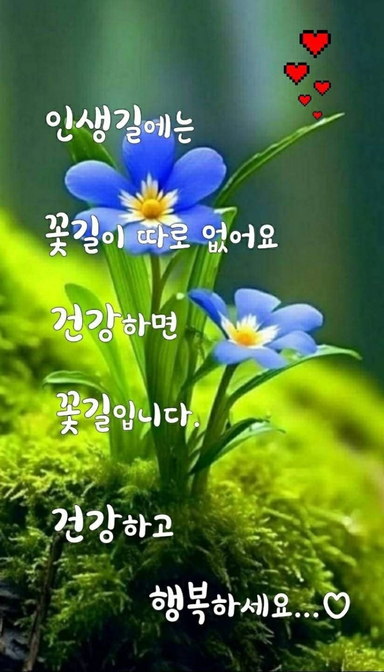 관악정육점 이미지