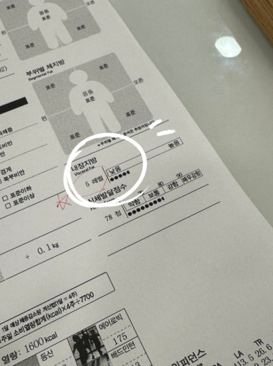 비티엘플러스 이미지