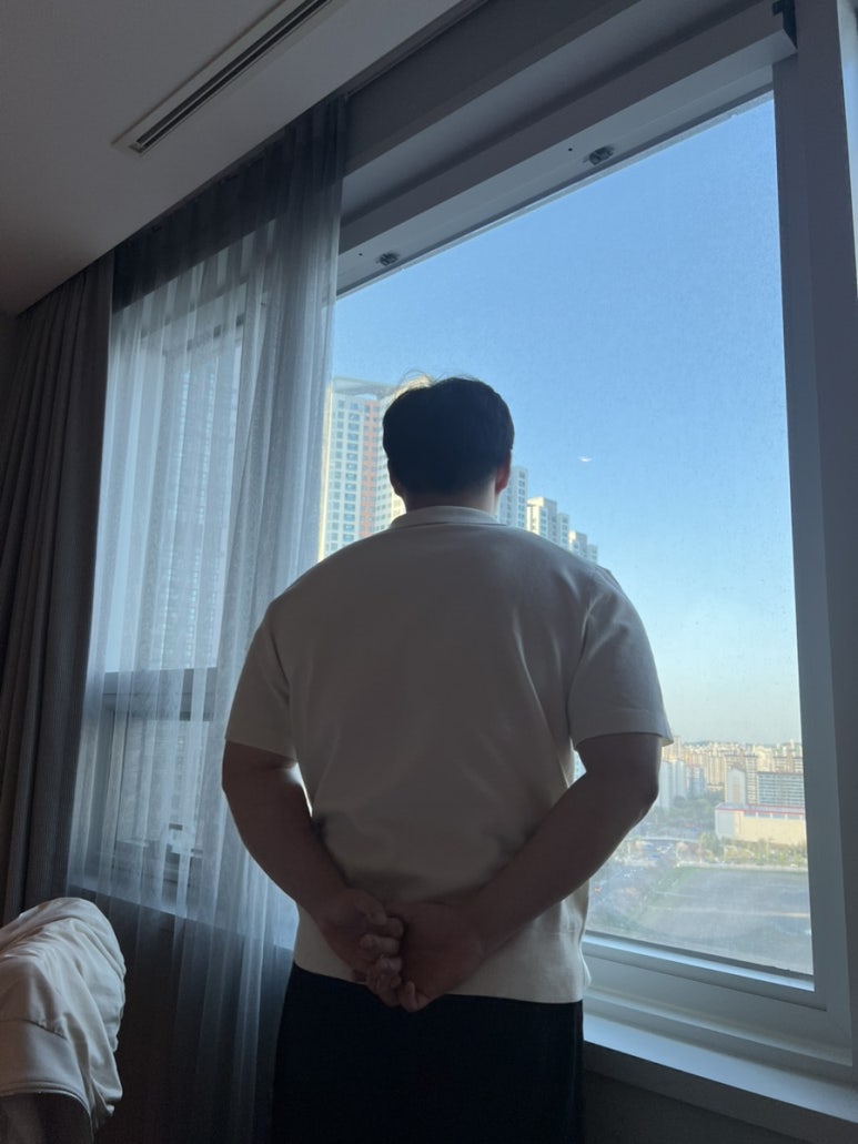뒹굴뒹굴고양이 이미지