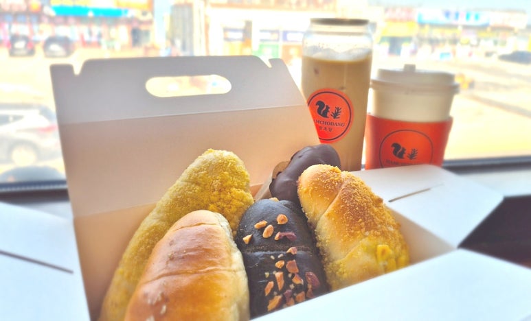 함초당&알로하피크닉 이미지