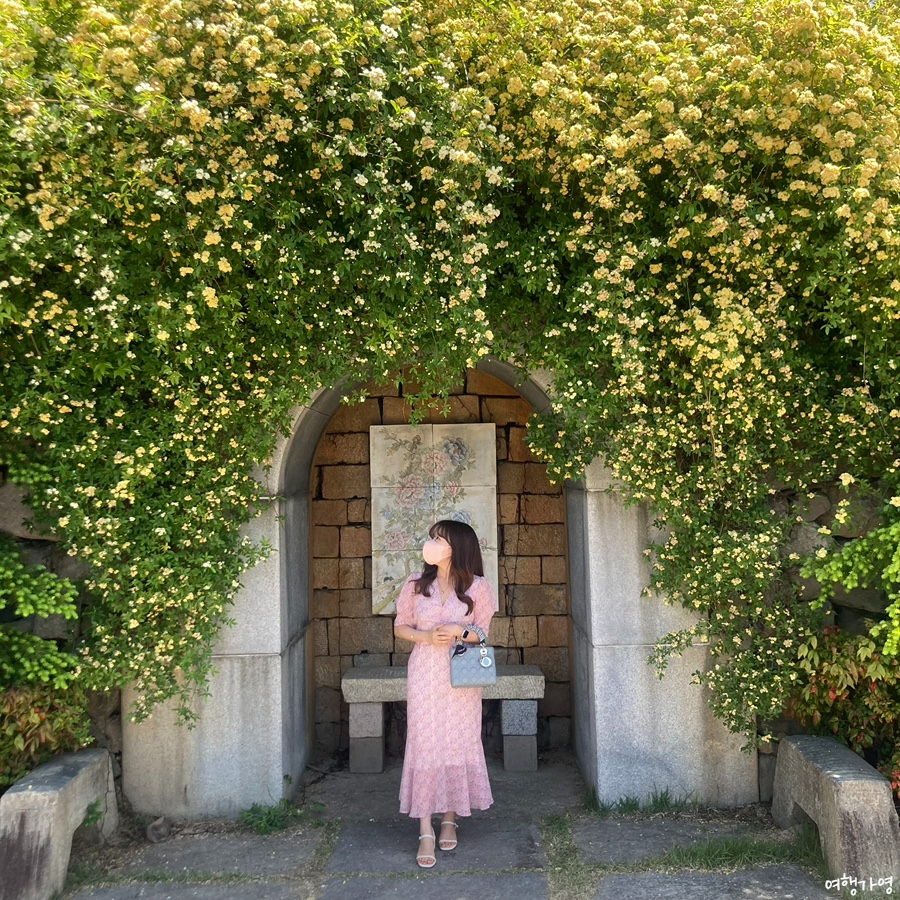 진해꽃식물원 이미지