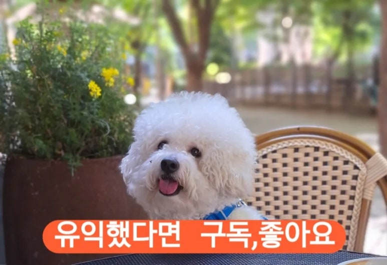 옥인다실 이미지